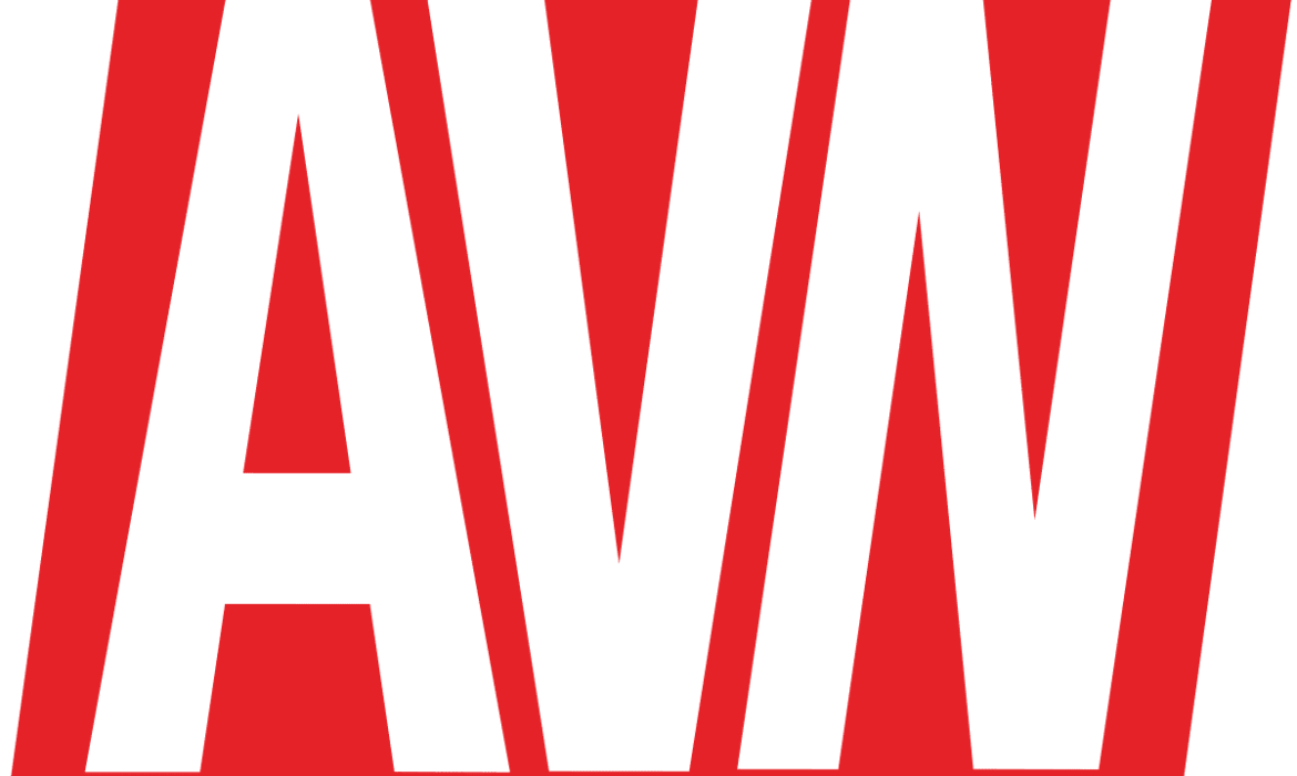 avn stars