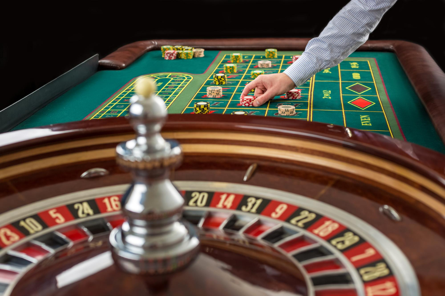 Casino White Label Brands